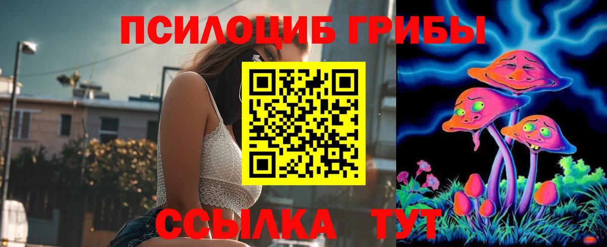 Галлюциногенные грибы прущие грибы Чебаркуль